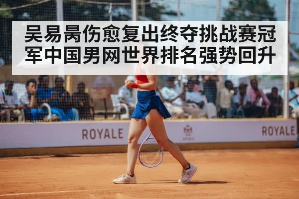 吴易昺伤愈复出终夺挑战赛冠军中国男网世界排名强势回升